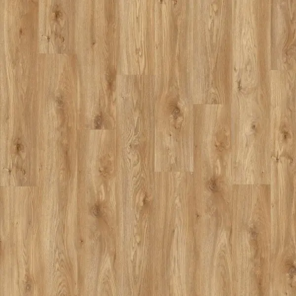 LVT-плитка Moduleo Roots Glue 0.55 EIR Sierra Oak 58346Q